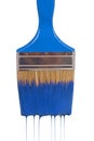 A paintbrush dripping with blue paint Royalty Free Stock Photo