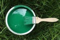 Brush on the green paint can in high grass, close-up Royalty Free Stock Photo