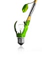 Paintbrush paint a green light bulb Royalty Free Stock Photo