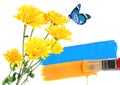 Paintbrush paints the blue and yellow strips. Blue butterfly flying over the yellow flowers Royalty Free Stock Photo