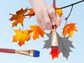 Paintbrush paints maple leaves in blue sky Royalty Free Stock Photo