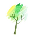 Painted abstract tree symbol. Royalty Free Stock Photo