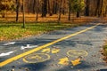 Painted bicycle and pedestrian symbol with arrow on asphalt road at city street or park on autumn day. Dedicated Royalty Free Stock Photo