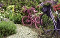 Painted Bicycles as Garden Art Planters Royalty Free Stock Photo