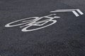 Painted bike lane marking