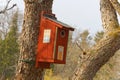 Painted bird house fron side view Royalty Free Stock Photo