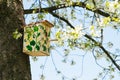 painted birdhouse hanging on a tree