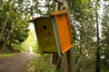 Painted Birdhouse in the Wood