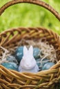 Painted blue textured easter eggs and a white plastic rabbit in a wicker brown hand made basket on green fresh grass Royalty Free Stock Photo