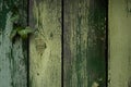 Painted boards texture. Old painted green panel background. Royalty Free Stock Photo