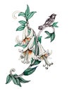 Painted bouquet of garden flowers with bird on white background.