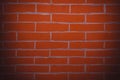 Painted brick background. Brick texture