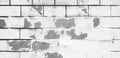 Painted brick wall cracked for background in black and white tone. Pattern line of wallpaper in monochrome tone. Royalty Free Stock Photo