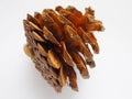 Painted brown color pine cone