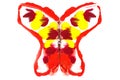 Painted Butterfly