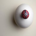 Painted chicken egg on camel-bird one. Anti-gravity Easter concept. White object on the same background Royalty Free Stock Photo