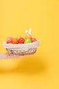 Painted colorful eggs in a basket in your hand with rabbit ears for the Easter holiday yellow background. background for the Royalty Free Stock Photo