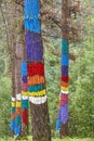 Painted colorful green pinewood forest in Euskadi. Oma, Spain Royalty Free Stock Photo