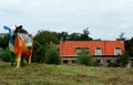 Painted cows in the meadow near Maassluis