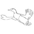 Painted cute funny bird duck drake in flight linear hand drawing, cartoon character, vector black and white illustration, coloring