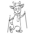 Painted cute funny deer in scarf ride skiing linear hand drawing, cartoon character, vector black and white illustration, coloring