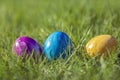 Painted decorated colorful Easter eggs in Fresh Green Grass with copy space, spring Happy Easter concept. Beautiful Royalty Free Stock Photo