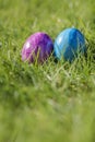 Painted decorated colorful Easter eggs in Fresh Green Grass with copy space, spring Happy Easter concept. Beautiful Royalty Free Stock Photo