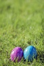 Painted decorated colorful Easter eggs in Fresh Green Grass with copy space, spring Happy Easter concept. Beautiful Royalty Free Stock Photo