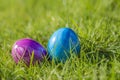 Painted decorated colorful Easter eggs in Fresh Green Grass with copy space, spring Happy Easter concept. Beautiful Royalty Free Stock Photo