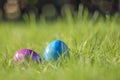 Painted decorated colorful Easter eggs in Fresh Green Grass with copy space, spring Happy Easter concept. Beautiful Royalty Free Stock Photo