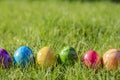 Painted decorated colorful Easter eggs in Fresh Green Grass with copy space, spring Happy Easter concept. Beautiful Royalty Free Stock Photo