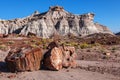 Painted Desert Badlands Petrified Forest Royalty Free Stock Photo