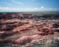 Painted Desert