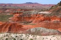 Painted Desert Royalty Free Stock Photo