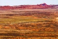 Painted Desert Yellow Grass Lands Orange Sandstone Red Fiery Fur Royalty Free Stock Photo