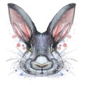 Painted drawing with watercolor portrait of an animal mammal rabbit hare in bed colors