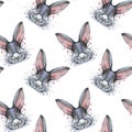 Painted drawing with watercolor seamless pattern portrait of an animal mammal rabbit hare in bed colors