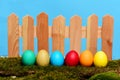 Painted easter colorful eggs at wooden fence on green moss Royalty Free Stock Photo