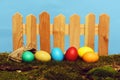 Painted easter colorful eggs at wooden fence on green moss Royalty Free Stock Photo