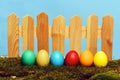 Painted easter colorful eggs at wooden fence on green moss Royalty Free Stock Photo