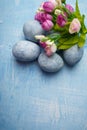 Painted Easter eggs on blue background with pink flowers. Spring holiday symbol. Copy space. Vertical shot Royalty Free Stock Photo