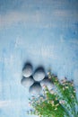 Painted Easter eggs on blue background with pink flowers. Spring holiday symbol. Top view, copy space. Vertical shot Royalty Free Stock Photo