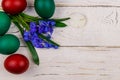 Painted Easter eggs and blue scilla flowers on white wooden background. Easter composition. Top view, copy space Royalty Free Stock Photo