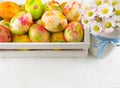 Painted Easter eggs and daisy flowers Royalty Free Stock Photo