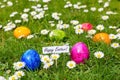 Painted Easter eggs in grass with white daisies Royalty Free Stock Photo