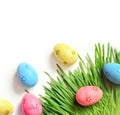 Painted Easter eggs on green grass isolated on white. Royalty Free Stock Photo