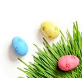 Painted Easter eggs on green grass isolated on white. Royalty Free Stock Photo