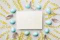 Painted Easter eggs, mimosa flower and paper card on vintage stone background top view in flat lay style. Empty space for text. Royalty Free Stock Photo