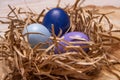 Painted Easter Eggs in a Nest on a Tree