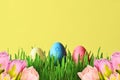 Painted Easter eggs and pink flowers in a bucket in green grass.